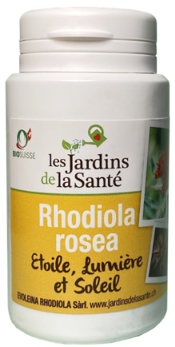 Etoile lumiere soleil