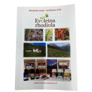 Flyers en français