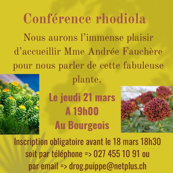 droguerie puippe 21 mars