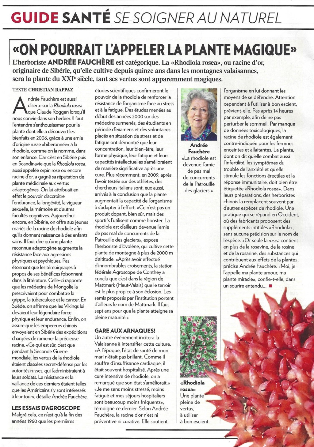 L'ILLUSTRE RHODIOLA 030419